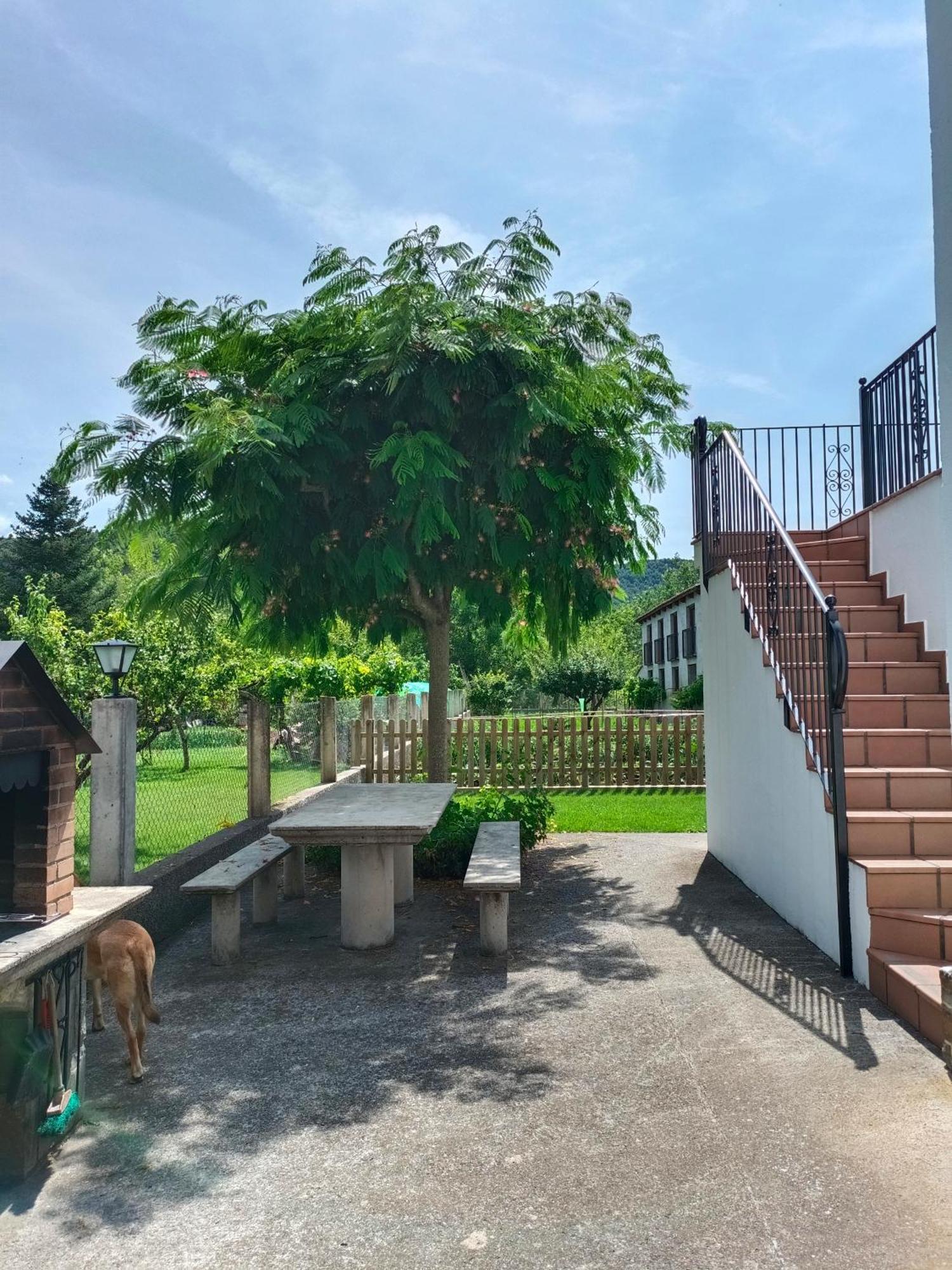 Apartamento Rural Casa Paco Con Jacuzzi Exterior Y Barbacoa Аїнса Екстер'єр фото